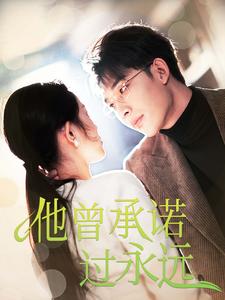 他曾承诺过永远（70集全）-紫橙资源网