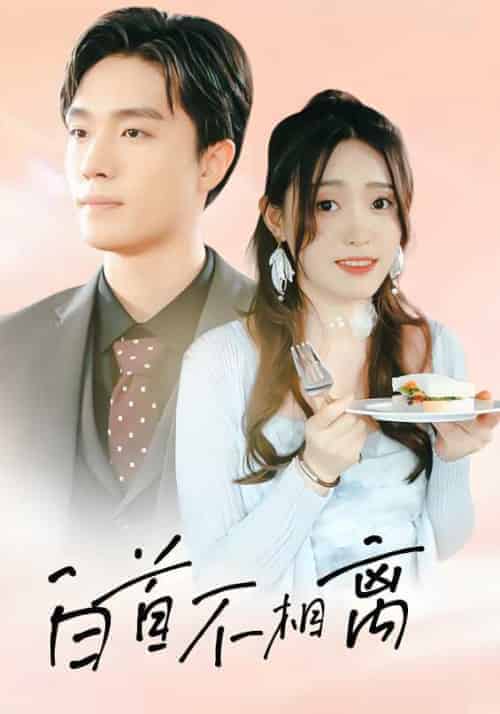 白首不相离（100集全）顾铭修＆夏沫染-紫橙资源网