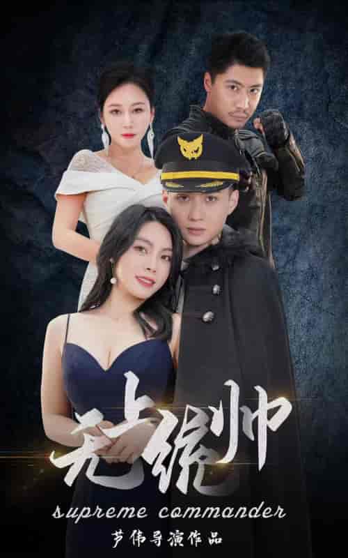 无上统帅（100集）-紫橙资源网