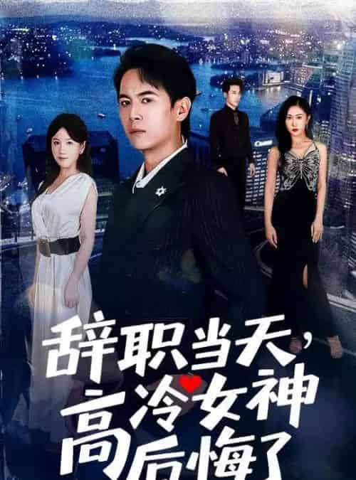 辞职当天，高冷女神后悔了＆辞职当天高冷女神后悔了（62集全）孙启恒＆邹南笙-紫橙资源网