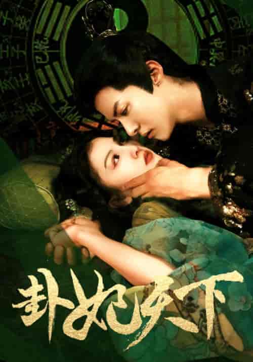 卦妃天下（96集）-紫橙资源网