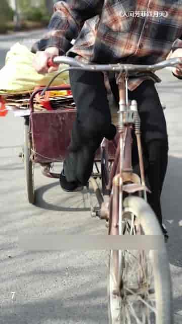 人间芳菲四月天（68集）-紫橙资源网