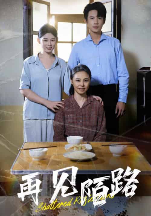 再见陌路（39集全）-紫橙资源网