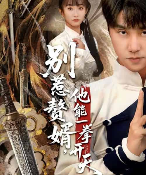 别惹赘婿，他能一拳开天＆假面赘婿，出手定乾坤（67集全）王楚＆孙逸仁-紫橙资源网