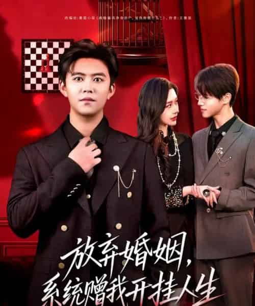 放弃婚姻，系统赠我开挂人生（60集全）王依海＆张子唯-紫橙资源网