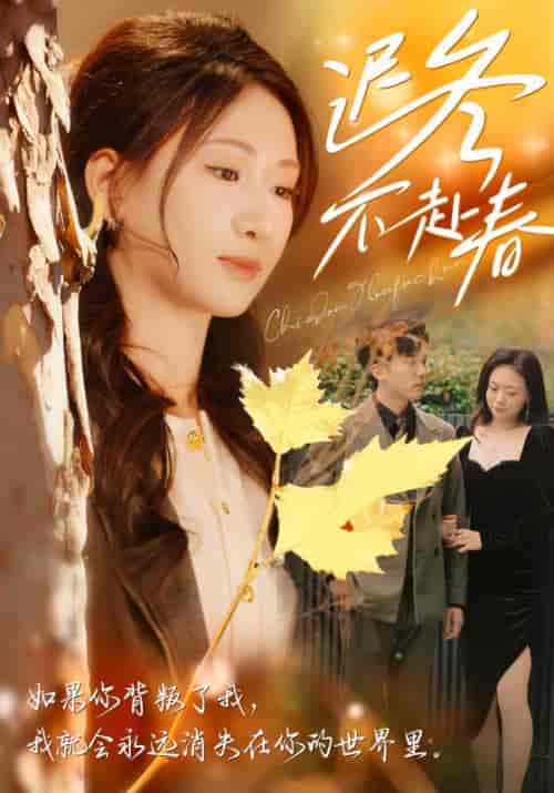 迟冬不赴春（56集全）盛思聿＆安以夏-紫橙资源网