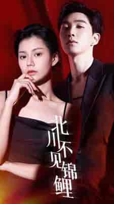 北川不见锦鲤(72集)-紫橙资源网