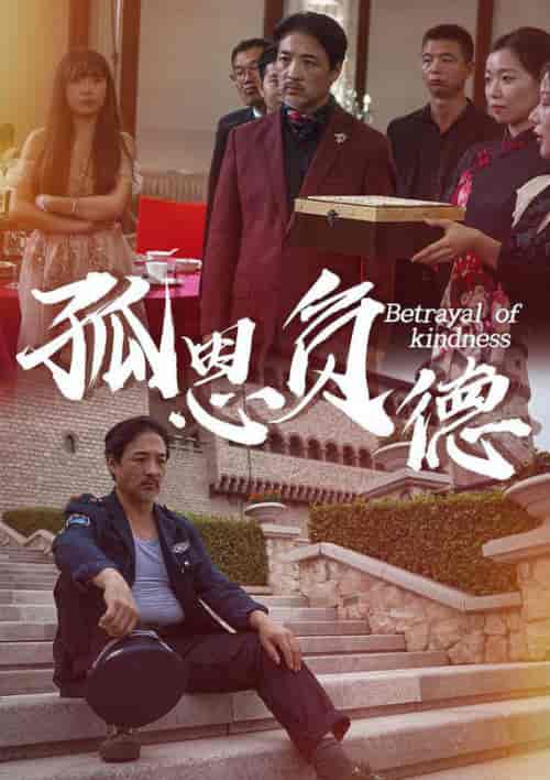 孤恩负德（60集全）-紫橙资源网