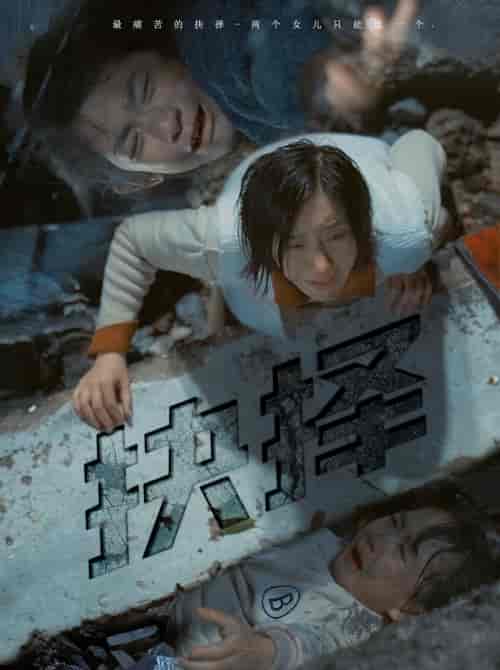 抉择（66集） - 紫橙短剧