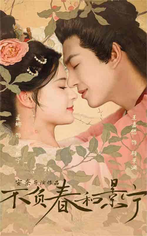 不负春和景宁（81集）孟娜 - 紫橙短剧