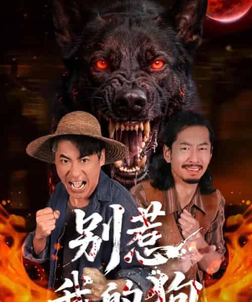 别惹我的狗（40集全）高毅＆张斯予＆陈鸿运-紫橙资源网