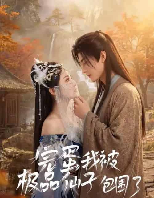 完蛋我被极品仙子包围了（66集全）AI-紫橙资源网