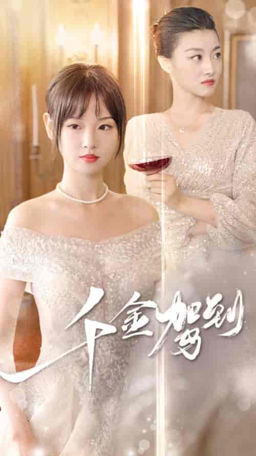 千金驾到（80集）-紫橙资源网