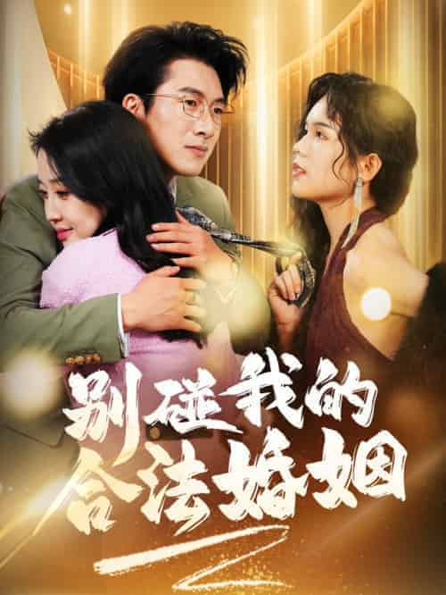 别碰我的合法婚姻＆天大地大老婆最大（30集全）-紫橙资源网