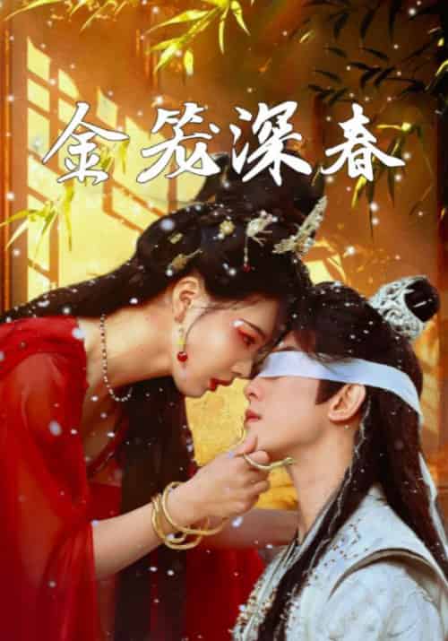 金笼深春 金笼深春