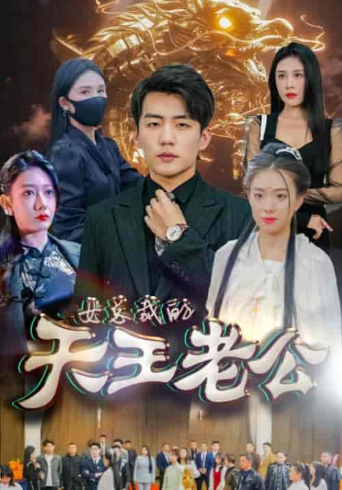 绝世天王＆女总裁的天王老公（101集）-紫橙资源网