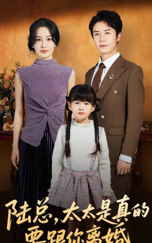 陆总，太太是真的要跟你离婚（52集全）陈聿修＆梁婧娴-紫橙资源网