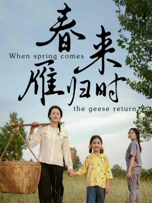 春来雁归时（61集全）-紫橙资源网