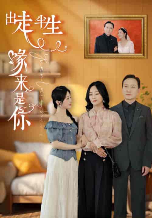 出走半生缘来是你（83集） - 紫橙短剧