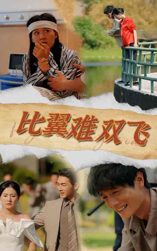 比翼难双飞（30集全）-紫橙资源网