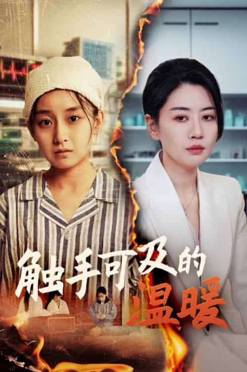 触手可及的温暖（48集全）王倩＆刘清心-紫橙资源网