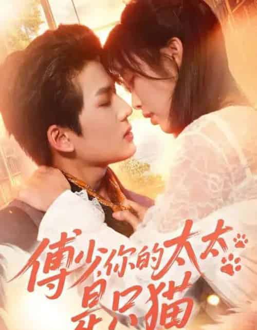 傅少，你的太太是只猫（64集全）赵偲佟＆向明 - 紫橙短剧