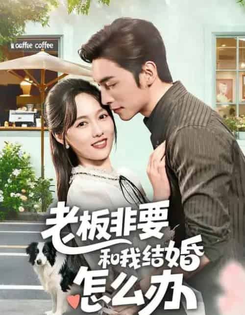 老板非要和我结婚怎么办（50集全）王博＆李媛菁-紫橙资源网