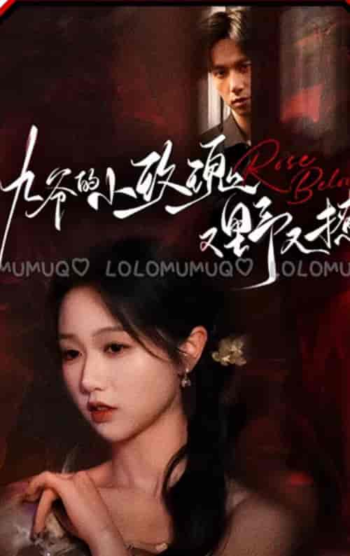 九爷的小玫瑰又野又撩(100集全)岳雨婷 陈政阳-紫橙资源网