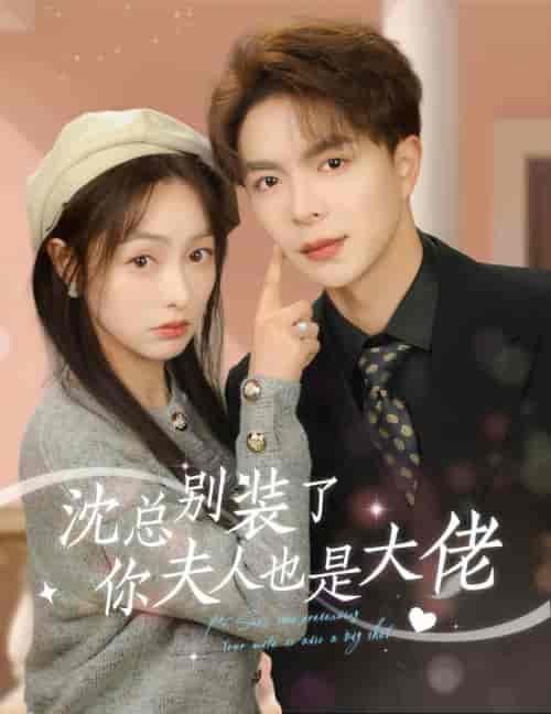 沈总别装了，你夫人也是大佬（86集）-紫橙资源网