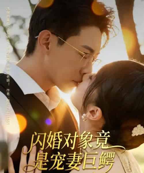 闪婚对象竟是宠妻巨鳄（74集全）陶思源＆周昭昭-紫橙资源网