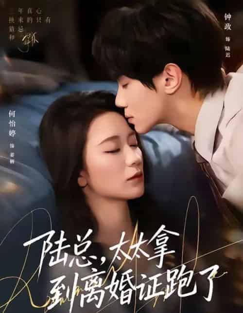 陆总，太太拿到离婚证跑了（86集全）钟政＆何依婷-紫橙资源网