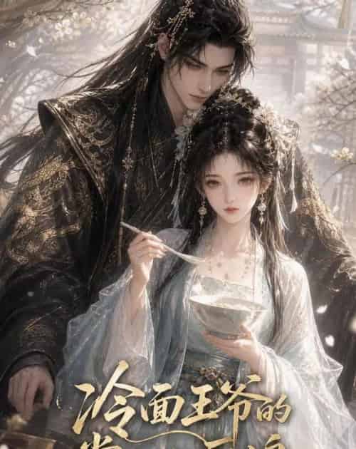 冷面王爷的掌心小厨娘（41集全）AI-紫橙资源网