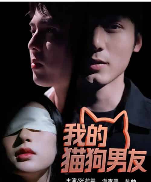 我的猫狗男友（53集）张茜雯-紫橙资源网