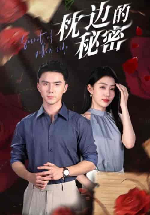 枕边的秘密(64集)-紫橙资源网