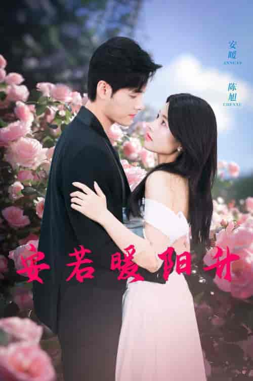 安若暖阳升（40集全）-紫橙资源网