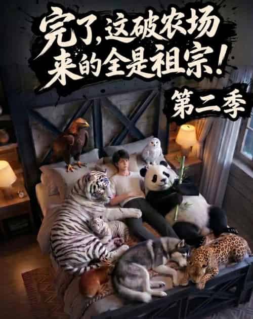 完了，这破农场来的全是祖宗！第二季（82集全）AI-紫橙资源网
