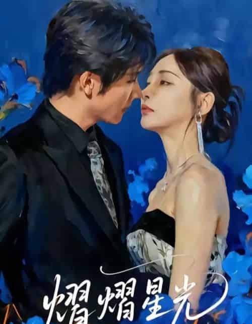熠熠星光（67集全）高梓添＆万家乐-紫橙资源网