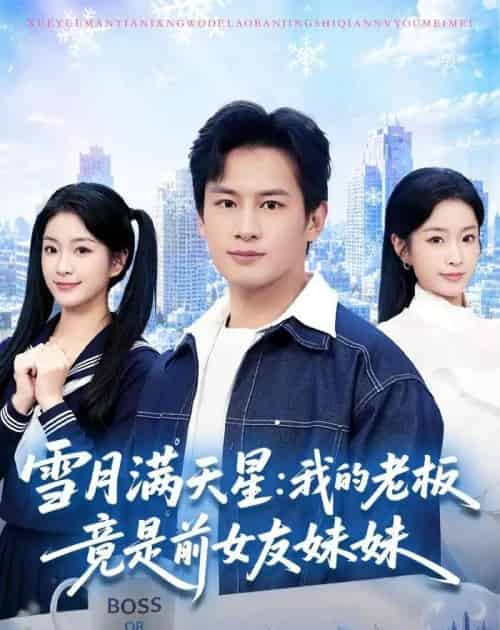 雪月满天星:我的老板竟是前女友妹妹(65集全)彭士腾&林冰冰-紫橙资源网