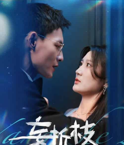 妄折枝(53集)冯铭潮&杨珊子-紫橙资源网