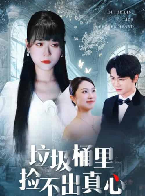 垃圾桶里捡不出真心（50集全）吴俊杰＆钱睿婧-紫橙资源网