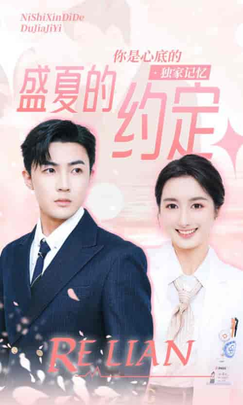 盛夏的约定（92集） - 紫橙短剧