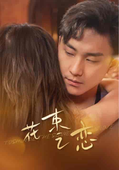 花束之恋(76集)-紫橙资源网