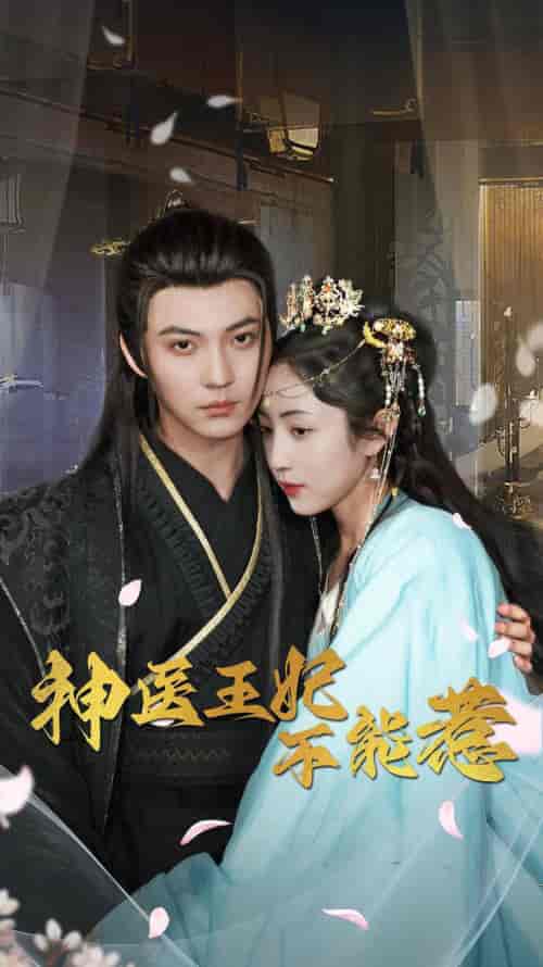 神医王妃不能惹（99集）-紫橙资源网