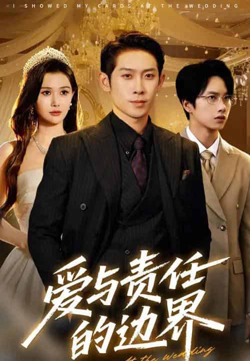 爱与责任的边界（35集）彭羽＆王新颖-紫橙资源网
