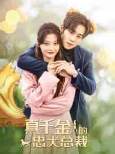 真千金的忠犬总裁（74集）-紫橙资源网