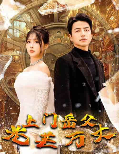 上门岳父光芒万丈（59集全）吴昊-紫橙资源网