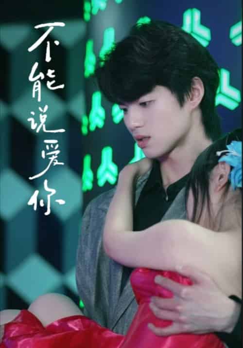 不能说爱你（35集全）秦正恩＆陆小曼-紫橙资源网