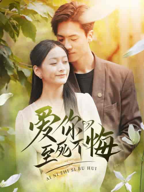 爱你至死不悔（78集全）-紫橙资源网
