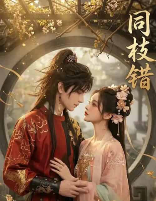同枝错（39集全）AI-紫橙资源网