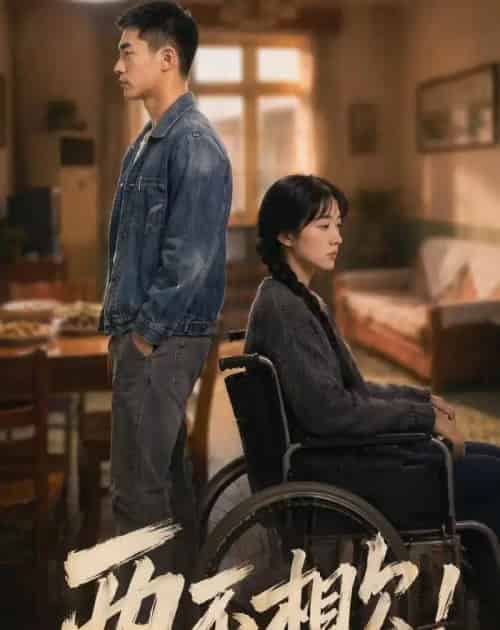 两不相欠（25集全）AI-紫橙资源网